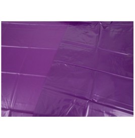 Lenzuolo laccato in colore viola - Oggettistica - Sexy Shop Ingrosso