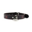 Easy collar leash black collare con guinzaglio con cuore