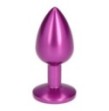 Plug anale Purple Teardrop Small