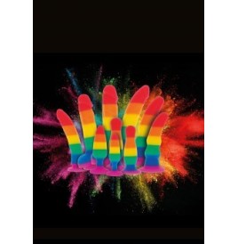 Rainbow Lover 7 Inch fallo anale pride - Falli Dildo Sessuali - Sex...