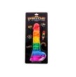 Rainbow Lover 8 Inch fallo anale pride