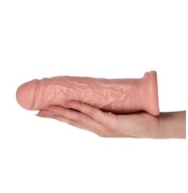 Fallo con ventosa Enea Flesh - Dildo e Falli - Sexy Shop Ingrosso