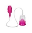 Pompa vaginale Intimate Pump