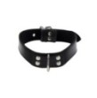 Collare Elegant D-Ring Collar