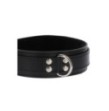 Collare Heavy D-Ring Collar