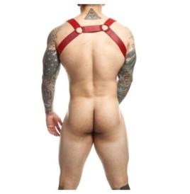 Pettorina rossa DNGEON Straigh Back Harness - Tanga e Perizoma - Se...