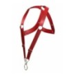 Pettorina rossa DNGEON Crossback Harness