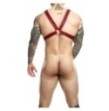 Pettorina rossa DNGEON Cross Chain Harness