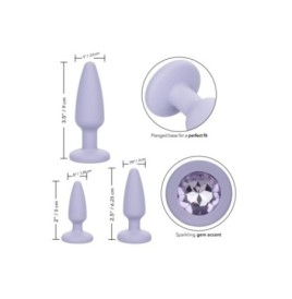 Plug anale Crystal Booty Kit viola - Plug Anale - Sexy Shop Ingrosso