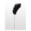 Frustino  Feather Tickler