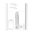 Pene finto con ventosa Realistic Dildo with Balls 19 cm