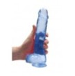 Pene finto blu con ventosa Realistic Dildo with Balls 22 cm