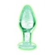 Plug fosforescente Glow-In-The-Dark Glass Anal Plug - Medium