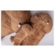 Peluches a forma di pene Penis Plushie 60 cm Brown