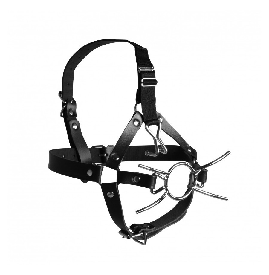 Imbracatura viso con morso Head Harness with Spider Gag and Nose Hooks Black