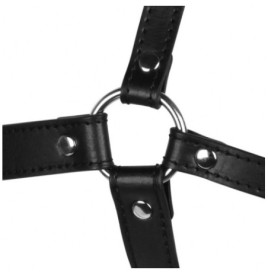 Imbracatura viso con morso Head Harness with Spider Gag and Nose Ho...