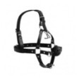 Imbracatura viso con morso Head Harness with Breathable Ball Gag and Nose Hooks Black