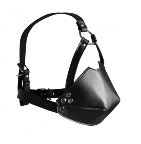 Imbracatura viso con morso Head Harness with Mouth Cover and Solid ...