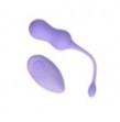 Palline vaginali vibranti Vibrating Egg with Remote Control Violet Harmony