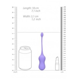 Palline vaginali vibranti Vibrating Egg with Remote Control Violet ...