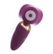 Stimolatore Vaginale Vibratore Petite Wand Viola