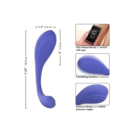 CalExotics Connect Kegel Exerciser - Vibratori Doppi - Sexy Shop In...