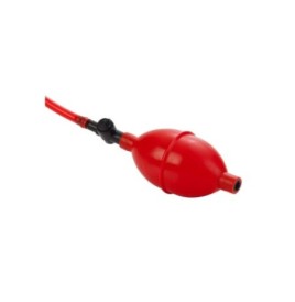 Plug Gonfiabile CAlExotics - Plug Anale - Sexy Shop Ingrosso